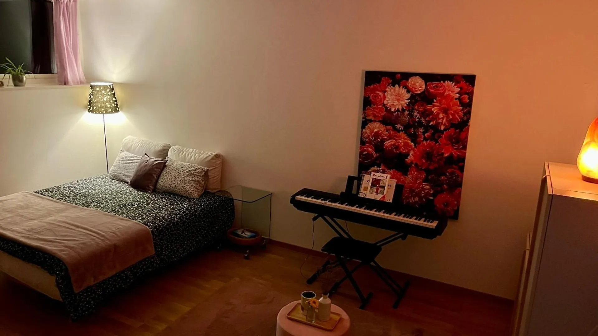 Appartement Private Room With Independent Entrance In Basel - Eurovision 2025
